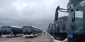 Oran: Réception de 50 nouveaux bus pour renforcer le transport urbain
