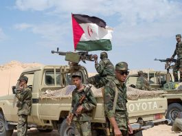 Armée sahraouie: Nouvelles attaques contre des positions des forces d’occupation marocaines dans le secteur de Haouza