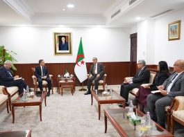 Cap sur 3.200 MW solaires et relance des projets structurants: Adjal mobilise les industriels autour du GECA