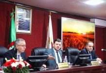 Projet Baladna sur 117.000 hectares et formation accélérée dès le 4 avril: L’Algérie accélère investissements et mécanisation pour renforcer sa souveraineté alimentaire