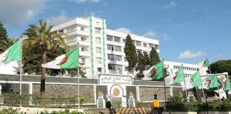 ANP: Reddition d’un terroriste à In Guezzam et arrestation de 9 éléments de soutien aux groupes terroristes en une semaine