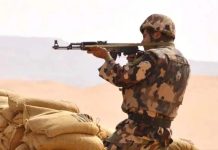 ANP: Mise en échec de tentatives d’introduction de plus de 5 quintaux de kif traité via les frontières avec le Maroc