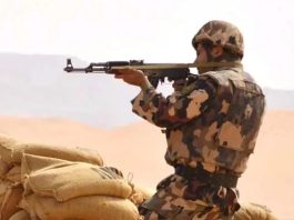 ANP: Mise en échec de tentatives d’introduction de plus de 5 quintaux de kif traité via les frontières avec le Maroc