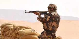 ANP: Mise en échec de tentatives d’introduction de plus de 5 quintaux de kif traité via les frontières avec le Maroc