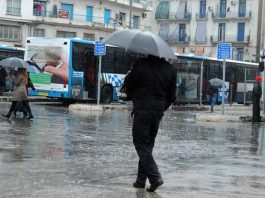 Persistance des pluies samedi sur plusieurs wilayas du pays