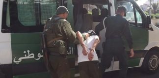 Blida: Démantèlement d’un groupe criminel ayant volé des moutons importés