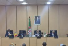 Partenariat algéro-tchadien en construction: Alger et N’Djamena visent une alliance économique stratégique