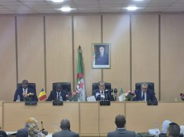 Partenariat algéro-tchadien en construction: Alger et N’Djamena visent une alliance économique stratégique