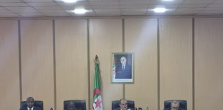 Partenariat algéro-tchadien en construction: Alger et N’Djamena visent une alliance économique stratégique