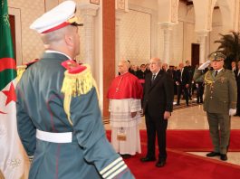 Face aux tensions géostratégiques et la montée de l’intolérance: Quel message du pape Léon XIV au monde via l’Afrique ?