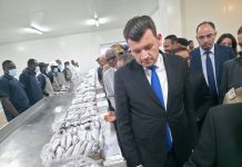 Algérie–Mauritanie: 31.120 tonnes de ressources halieutiques au cœur du partenariat