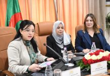 Réforme du commerce en Algérie: Un nouveau cadre légal pour renforcer transparence et contrôle