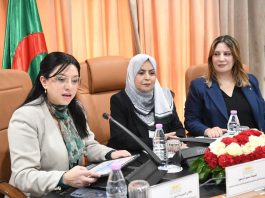 Réforme du commerce en Algérie: Un nouveau cadre légal pour renforcer transparence et contrôle