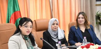 Réforme du commerce en Algérie: Un nouveau cadre légal pour renforcer transparence et contrôle