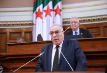 Une loi historique pour encadrer juridiquement la mémoire nationale: Le Conseil de la nation adopte le texte