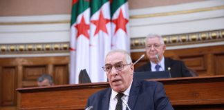 Une loi historique pour encadrer juridiquement la mémoire nationale: Le Conseil de la nation adopte le texte