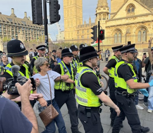 Près de 200 manifestants soutenant le groupe Palestine Action arrêtés à Londres