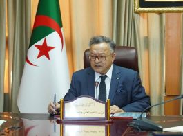 Enseignement supérieur: Baddari préside une réunion de coordination pour le suivi du projet « Study in Algeria »