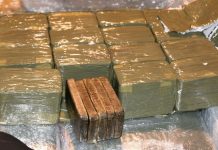 Boumerdes: Saisie de près de 40 kg de cannabis