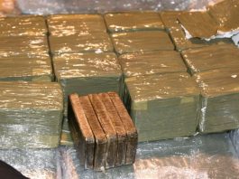 Boumerdes: Saisie de près de 40 kg de cannabis