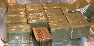 Boumerdes: Saisie de près de 40 kg de cannabis