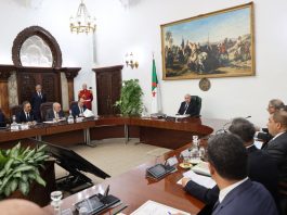 Le rôle des jeunes dans le secteur économique et l’entrepreneuriat: Les décisions du président de la République fortement saluées