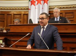 407 sièges à l’APN et 177 au Conseil de la nation après la réforme: La loi adoptée