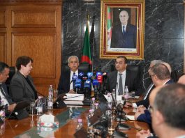 Réformes, grands projets et attractivité au cœur de la stratégie: Mourad Hanifi prend les rênes du secteur minier