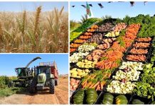 Agriculture et souveraineté alimentaire: 15% du PIB et 80% des besoins couverts