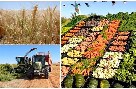 Agriculture et souveraineté alimentaire: 15% du PIB et 80% des besoins couverts