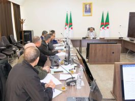 Pénétrante Djen Djen–El Eulma: Djellaoui ordonne d’intensifier les travaux