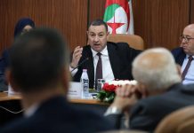 Face aux tensions régionales: Sayoud appelle à une réponse arabe coordonnée