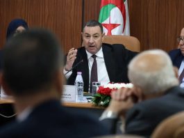 Face aux tensions régionales: Sayoud appelle à une réponse arabe coordonnée