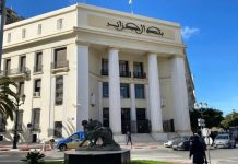 53e réunion du Comité monétaire et financier international: Lebbou plaide pour des politiques coordonnées et une stabilité financière globale