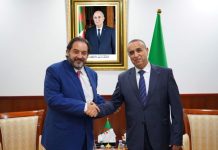 Énergies renouvelables: L’Algérie maintient le cap des 15.000 MW issus de sources propres