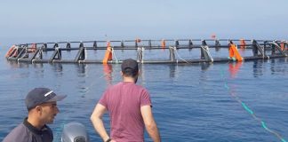 Aquaculture: 80 millions d’alevins et 12 000 tonnes de production attendues en 2026