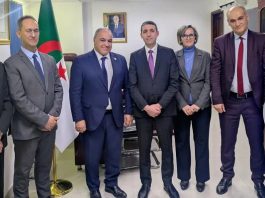 Coopération énergétique africaine: Vers un forum des régulateurs pour harmoniser les pratiques