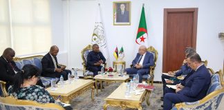 230 unités couvrent 83 % des besoins nationaux et ouvrent des débouchés africains: Alger propose de produire pour le Mozambique