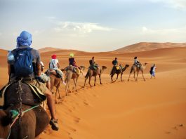 470 000 touristes en 7 mois, dont 47 000 étrangers: Le Sahara algérien confirme son irrésistible ascension
