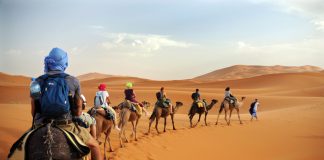 470 000 touristes en 7 mois, dont 47 000 étrangers: Le Sahara algérien confirme son irrésistible ascension