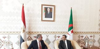 Hydrocarbures: Arkab reçoit son homologue égyptien