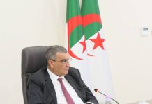 Travaux publics : M. Djellaoui en visite de travail au Tchad à partir de mercredi
