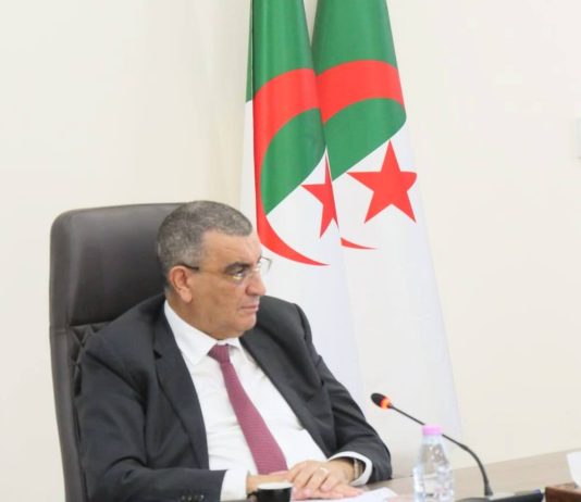 Travaux publics : M. Djellaoui en visite de travail au Tchad à partir de mercredi