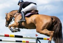 Equitation – Grand concours national de saut d’obstacles deux et trois étoiles: La 2e semaine programmée pour ce week-end à Tipaza