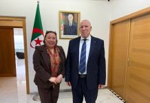Formation, industrie et adaptation aux métiers du futur: Alger prépare le référentiel national des compétences industrielles