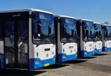 Transport urbain: L’Etusa lance 30 nouvelles lignes à Alger et sa périphérie à partir de dimanche