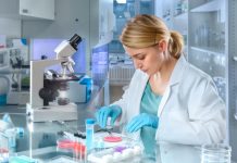 Les biologistes femmes deviennent majoritaires sur Wikipédia selon une étude