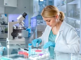 Les biologistes femmes deviennent majoritaires sur Wikipédia selon une étude