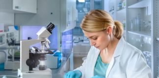 Les biologistes femmes deviennent majoritaires sur Wikipédia selon une étude