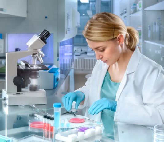 Les biologistes femmes deviennent majoritaires sur Wikipédia selon une étude